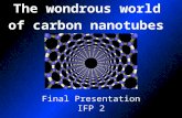 The wondrous world of carbon nanotubes Final Presentation IFP 2 February 26, 2003.