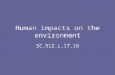 Human impacts on the environment SC.912.L.17.16. Impact of Human Activities Deforestation is the permanent destruction of indigenous forests and woodlands.