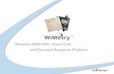 Wireless AMR/AMI, Smart Grid and Demand Response Platform.