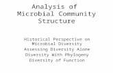 Analysis of Microbial Community Structure Historical Perspective on Microbial Diversity Assessing Diversity Alone Diversity With Phylogeny Diversity of.