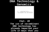 DNA Technology & Genomics Chpt. 20 The use of recombinant DNA technology has already impacted your life in ways that you might not expect.