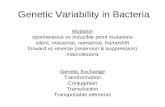 Genetic Variability in Bacteria Mutation spontaneous vs inducible point mutations silent, missense, nonsense, frameshift forward vs reverse (reversion.