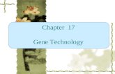 Chapter 17 Gene Technology. Protein RNA DNA transcription translation CCTGAGCCAACTATTGATGAA PEPTIDEPEPTIDE CCUGAGCCAACUAUUGAUGAA Central Dogma: DNA ->