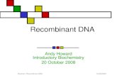 10/20/2009Biochem: Recombinant DNA Recombinant DNA Andy Howard Introductory Biochemistry 20 October 2008.