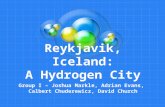 Reykjavik, Iceland: A Hydrogen City Group I – Joshua Markle, Adrian Evans, Calbert Chuderewicz, David Church.