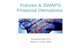 Futures & SWAPS Financial Derivatives Shanghai Fall 2014 Week 6-7 FINC 5880.