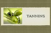 TANNINSTANNINS. Tannins Tannins is a substance found naturally in many different plants, most in grapes and tea leaves,precipitate proteins from their.