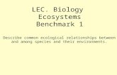 LEC. Biology Ecosystems Benchmark 1 Describe common ecological relationships between and among species and their environments.