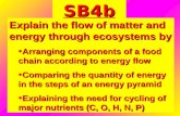 SB4b Explain the flow of matter and energy through ecosystems by Arranging components of a food chain according to energy flow Arranging components of.