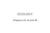 ECOLOGY Chapters 24, 25 and 28. Ecology = scientific study of interactions between organisms, and between organisms and their environment Eco comes from.