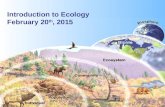 Introduction to Ecology February 20 th, 2015. Ecology: deals with different levels of organization.