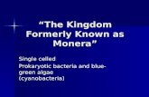 “The Kingdom Formerly Known as Monera” Single celled Prokaryotic bacteria and blue-green algae (cyanobacteria)