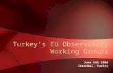 Turkey’s EU Observatory Working Groups June 5th 2006 Istanbul, Turkey.