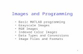 1 Images and Programming Basic MATLAB programming Grayscale Images RGB Images Indexed Color Images Data Types and Conversions Image Files and Formats.