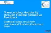 Transcending Modularity through Flexible Formative Feedback Sheffield Hallam University: Learning and Teaching Conference 2014.