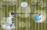 Fundus camera. Fundus Camera Fundus camera optics are very similar to those of the indirect ophthalmoscope.