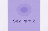 Sex Part 2. The Female Side The _________________produces female sex hormones and stores female reproductive cells. Located pretty much entirely__________in.
