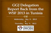 Wednesday, May 8, 2013 & Thursday, May 9, 2013.  Tunisia, the Arab Spring, and the World Social Forum.