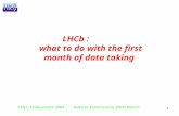 CSN1, 16 Novembre 2004 Roberta Santacesaria, INFN Roma1 1 LHCb : what to do with the first month of data taking.