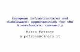 European infrastructures and middleware: opportunities for the biomechanical community Marco Petrone m.petrone@cineca.it.