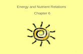 1 Energy and Nutrient Relations Chapter 6. 2 Energy Sources Organisms can be classified by trophic levels.  Autotrophs use inorganic sources of carbon.
