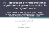 MRI detection of transcriptional regulation of gene expression in transgenic mice Batya Cohen, Keren Ziv, Vicki Plaks, Tomer Israely, Vyacheslav Kalchenko,