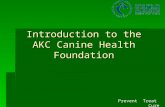 Prevent Treat Cure Introduction to the AKC Canine Health Foundation.