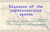 Diseases of the cardiovascular system Maliqin Department of Pathology and Pathophysiology School of Medicine, Zhejiang University.
