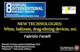 Vascular & Interventional Radiology Unit Department of Radiological Sciences “Sapienza” – University of Rome Fabrizio Fanelli NEW TECHNOLOGIES: Wires,
