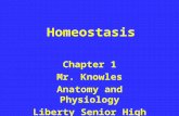 Homeostasis Chapter 1 Mr. Knowles Anatomy and Physiology Liberty Senior High School.