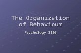 The Organization of Behaviour Psychology 3106. Introduction Animals can do many things Forage Forage Defend Defend Look for mates, etc… Look for mates,