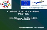 COMENIUS INTERNATIONAL MEETING 25th FEbruary - 1st March 2013 Sibiu, Romania Aleksandra Kosecka Ewa Ladrowska.
