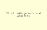 Viral pathogenesis and genetics. Viral Pathogenesis Viral pathogenesis is the process by which a viral infection leads to disease. Viral pathogenesis.