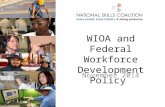 WIOA and Federal Workforce Development Policy November 2014.