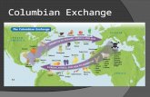 Columbian Exchange.  The Columbian Exchange was the enormous widespread exchange of plants, animals, foods, human populations (including slaves),diseases,