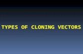 TYPES OF CLONING VECTORS. CLONING VECTORS  Different types of cloning vectors are used for different types of cloning experiments.  The vector is chosen.