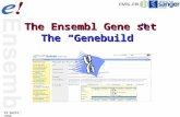The Ensembl Gene set The “Genebuild” 21 April 2008.