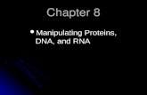 Chapter 8 Manipulating Proteins, DNA, and RNA Manipulating Proteins, DNA, and RNA.