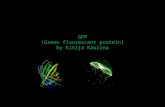 GFP (Green fluorescent protein) by Kitija Kaulina.
