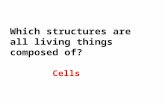 Which structures are all living things composed of? Cells.