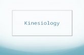 Kinesiology. What is Biomechanics/Kinesiology? Study of human movement from the point of view of the physical sciences.