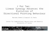 T for Two: Linear Synergy Advances the Evolution of Directional Pointing Behaviour Marieke Rohde & Ezequiel Di Paolo Centre for Computational Neuroscience.