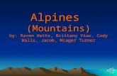 Alpines (Mountains) by: Raven Watts, Brittany Viar, Cody Walls, Jacob, Mcager Turner.
