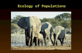 Ecology of Populations. Scope of Ecology Ecology - Study of the interactions of organisms with other organisms and the physical environment. – Habitat.