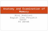 Rini Andriani Bagian Ilmu Penyakit Saraf FK UNTAR Anatomy and Examination of Memory.