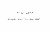 Cosc 4750 Domain Name Service (DNS) IP Addresses Machines on the Internet need an addressing scheme (or couldn’t receive packets!) Each machine has a.