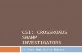 CSI: CROSSROADS SWAMP INVESTIGATORS 12 Step Guideline Rubric.