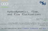 Hydrodynamics, flow, and flow fluctuations Jean-Yves Ollitrault IPhT-Saclay Hirschegg 2010: Strongly Interacting Matter under Extreme Conditions International.