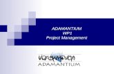 ADAMANTIUM WP1 Project Management. ADAMANTIUM ICT – 214751 Started on March of 2008 Duration 30 Months Partners:  NCSR Demokritos, Greece  University.