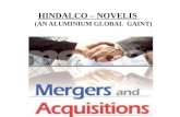 HINDALCO - NOVELIS ACQUISITION: CREATING AN ALUMINIUM GLOBAL GIANT 'We look upon the aluminium business as a core business that has enormous growth potential.